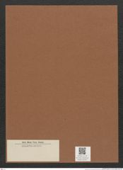 Diatomeae indet. Zeichnungen Sammlung Grunow Mappe 02341 (Herbarium_W_Grunow_drawings_Folder_02341)